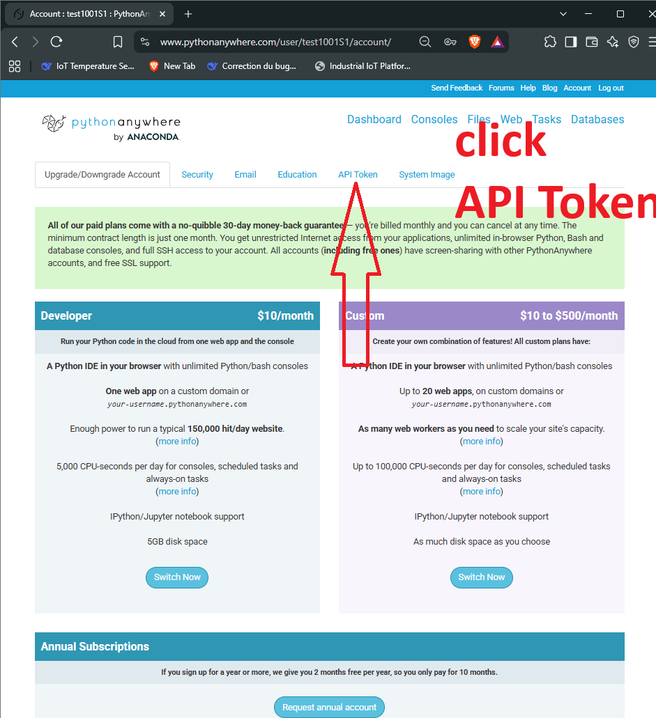 API Token