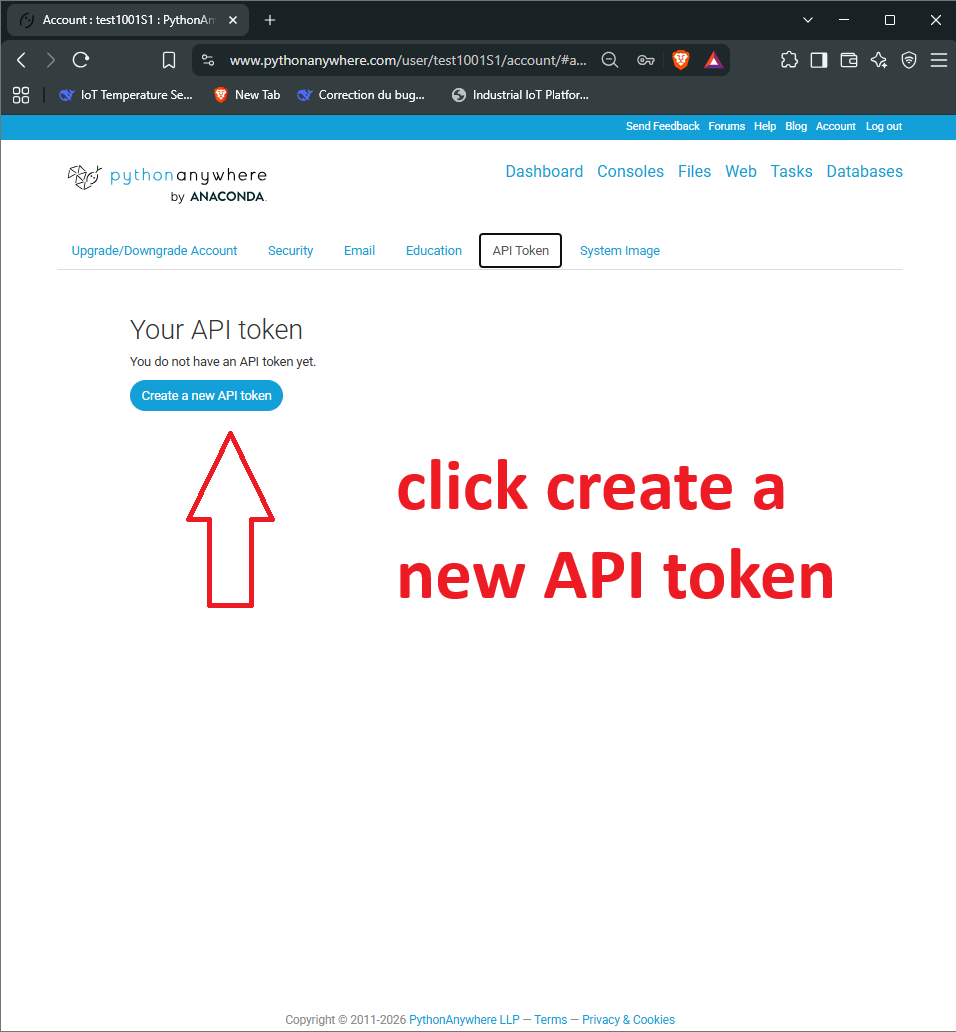 API Token created